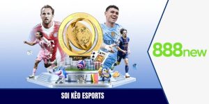 Soi kèo esports